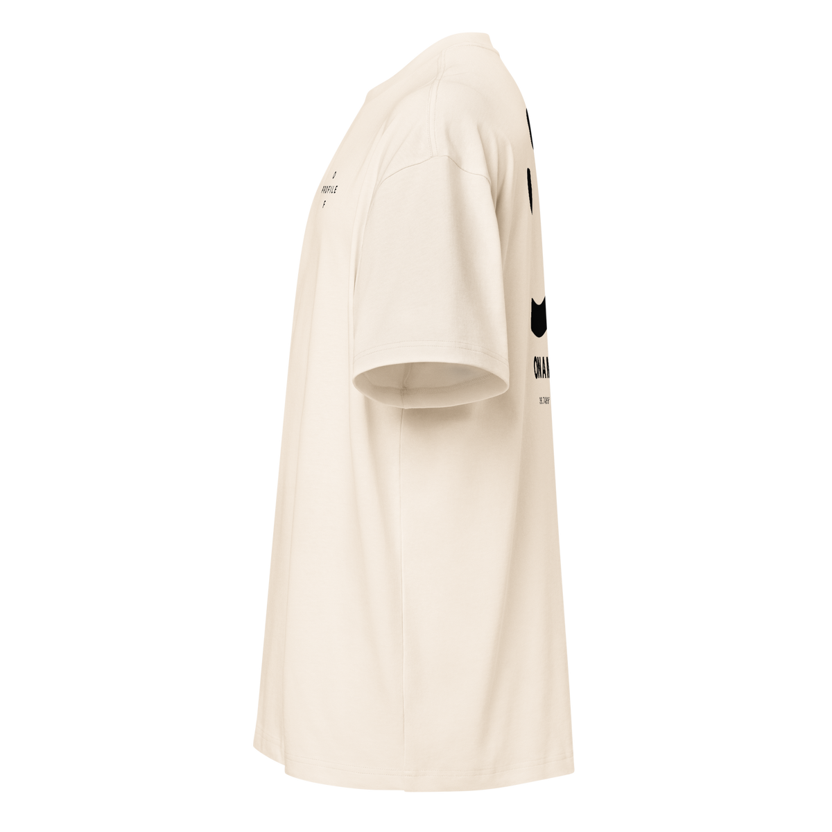 Camiseta boxy ON A MISSION en blanco roto, lateral izquierdo